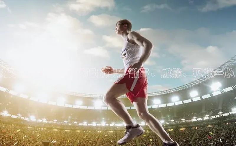 beat365官方唯一入口百度识图