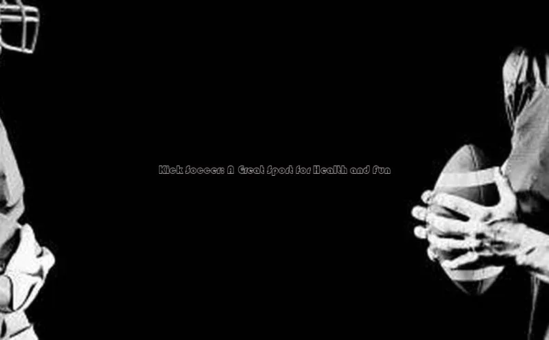 beat365 手机版官方网站雷柏科技