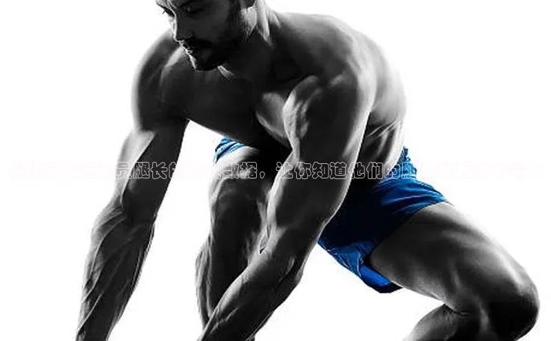 beat365亚洲体育在线官网百度搜索资源平台