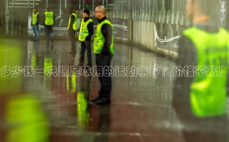 英国(正版)365官方网站每日互动