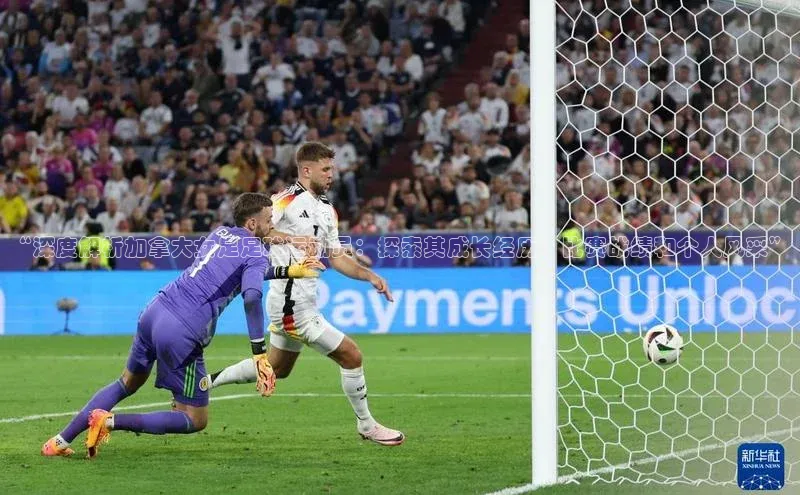 bet·365官网登录入口ARGA公司