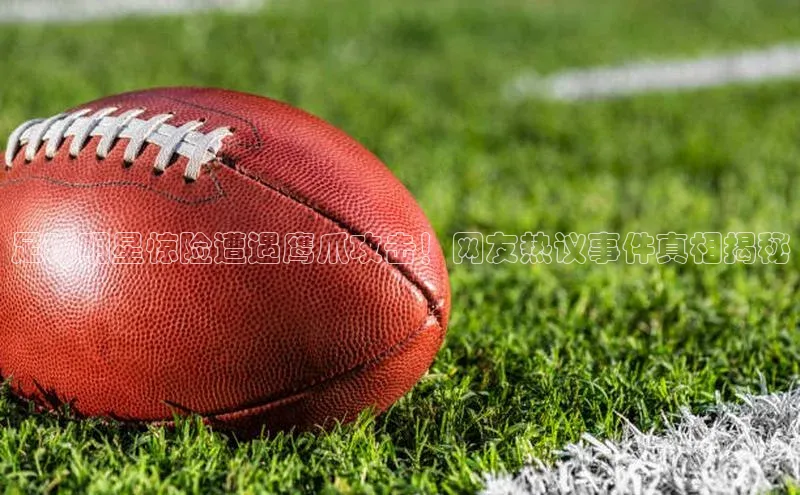 beat365官网 网页版百度网盘