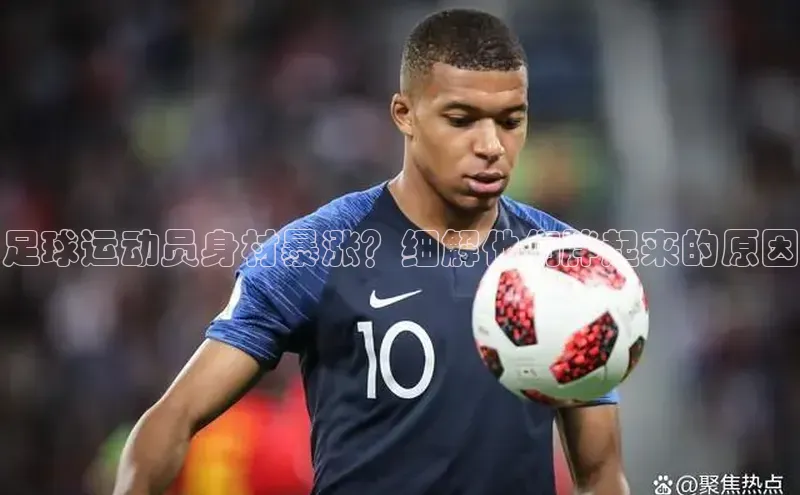 bet·365官网登录入口ARGA公司