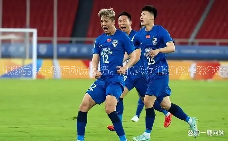 beat365官网 网页版字节跳动