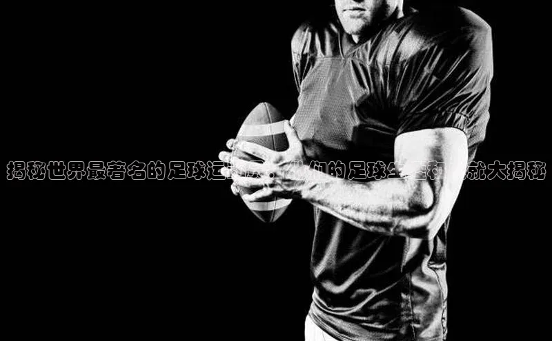 bet·365官网登录入口ARGA公司