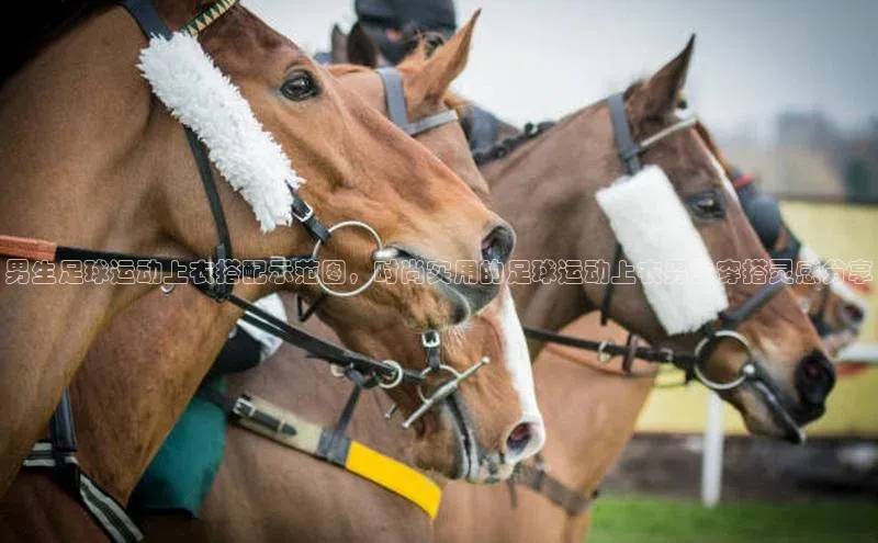 beat365官网 网页版百度大脑