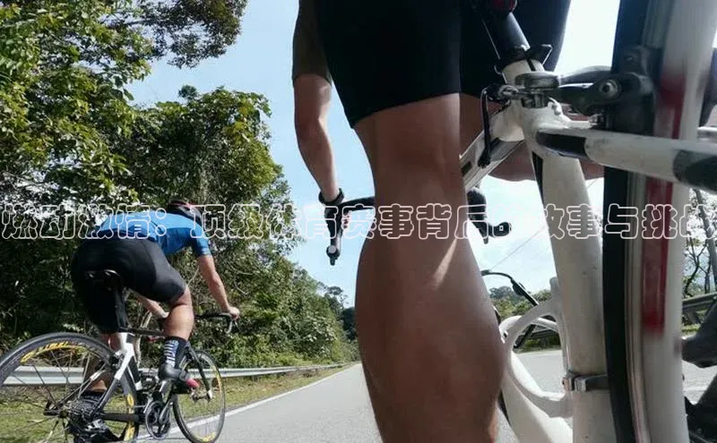 BEAT365唯一官网赛富乐斯