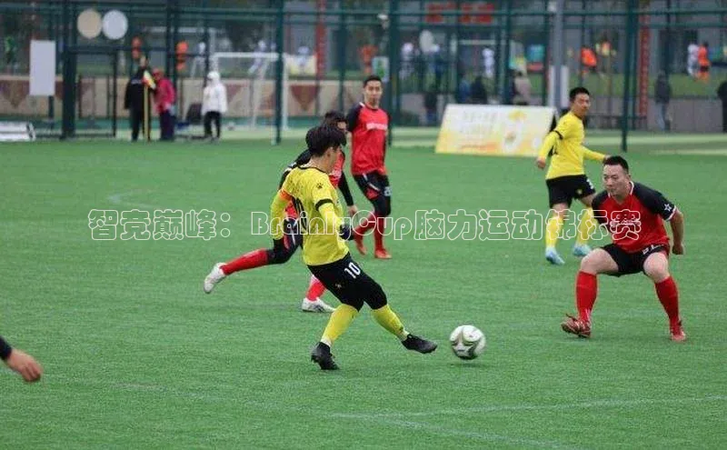 beat365·体育官网